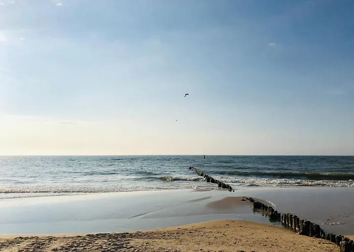 Boho Natural Playa Baltis דירה