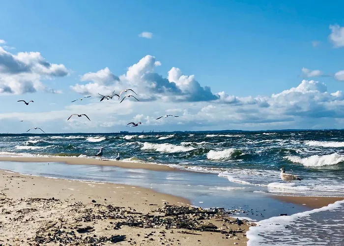 Boho Natural Playa Baltis דירה מידזיזדרויה