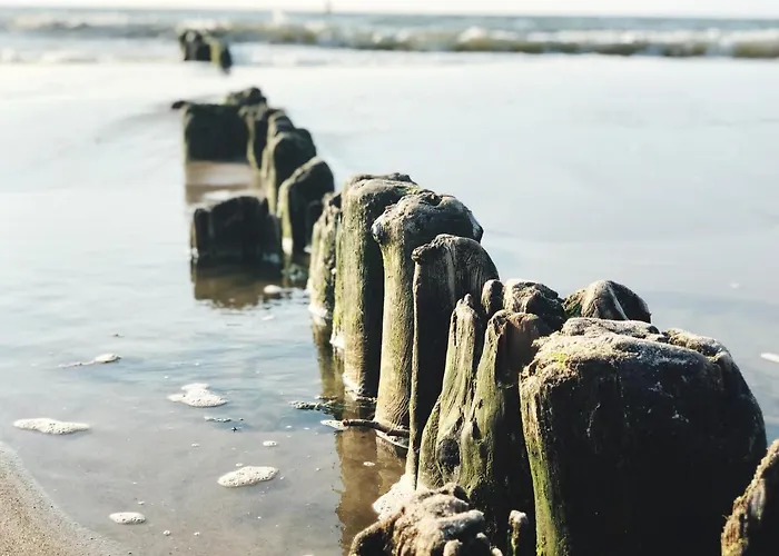 Boho Natural Playa Baltis מידזיזדרויה